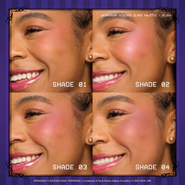 Wednesday Stained Glass Blush Palette