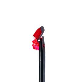 Pro Lip Brush
